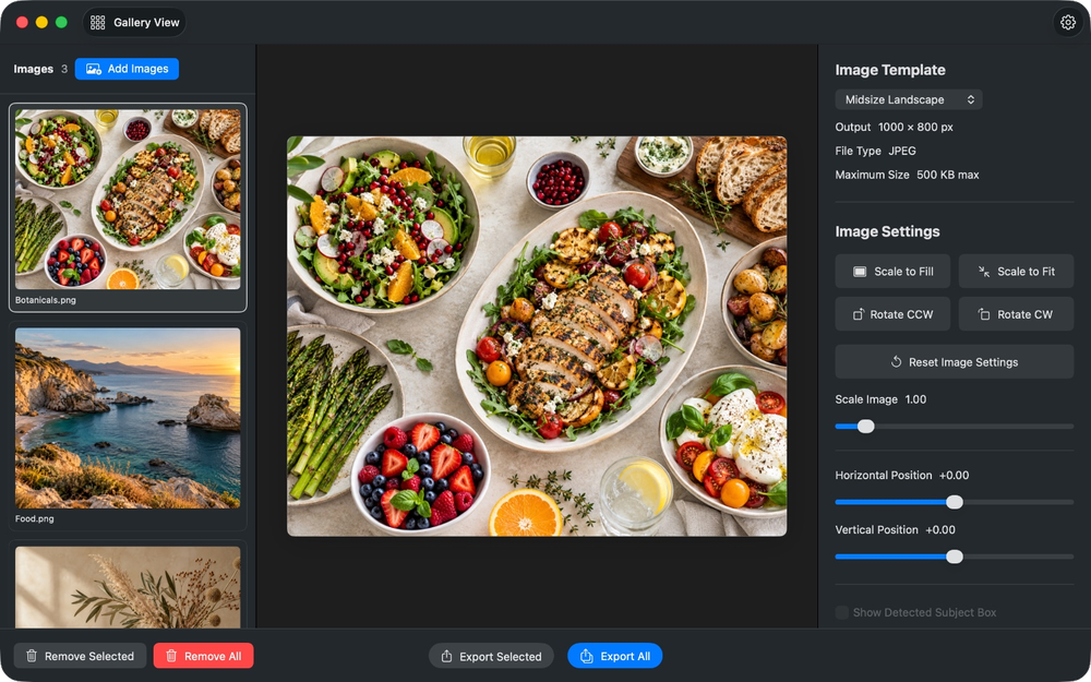 Gallery view showing an image preview with template and image settings